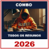 Combo Todos os Resumos Radegondes Resumos 2026