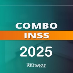 Combo INSS Radegondes Resumos 2025