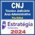CNJ (TÉCNICO JUDICIÁRIO – ÁREA ADMINISTRATIVA) PÓS EDITAL – ESTRATÉGIA 2024