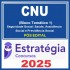 CNU (Bloco Temático 1 – Infraestrutura, Exatas e Engenharia) Pós Edital – Estratégia 2024