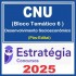 CNU - Concurso Nacional Unificado (Bloco Temático 6 - Desenvolvimento Socioeconômico) Pacote - 2025 (Pós-Edital) Estratégia