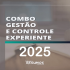 Combo Gestão e Controle Experiente Radegondes Resumos 2025