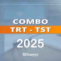 Combo TRT/TST Radegondes Resumos 2025