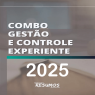 Combo Gestão e Controle Experiente Radegondes Resumos 2025