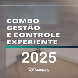 Combo Gestão e Controle Experiente Radegondes Resumos 2025