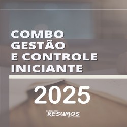 Combo Gestão e Controle Iniciante Radegondes Resumos 2025