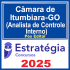 Câmara de Itumbiara-GO (Analista de Controle Interno) - 2025 (Pós-Edital) Estratégia
