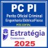 PC-PI (Perito Oficial Criminal - Engenharia Elétrica/Física) - 2025 (Pós-Edital) Estratégia