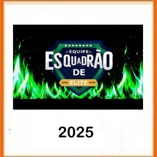 INSS – Esquadrão de Elite Curso Completo 2025