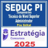 SEDUC PI Temporários (Técnico de Nível Superior: Administrador) Pós Edital – Estratégia 2025