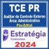 TCE PR (Auditor de Controle Externo – Área Administrativa) Pós Edital – Estratégia 2024