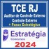TCE RJ (Auditor de Controle Externo – Controle Externo + Passo) Estratégia 2024