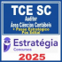 TCE SC (Auditor – Área Ciências Contábeis + Passo) Pós Edital – Estratégia 2025