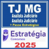 TJ MG (Analista Judiciário – Administrador + Passo) Estratégia 2025