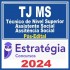TJ MS (Técnico de Nível Superior – Assistente Social – Assistência Social) Pós Edital – Estratégia 2024