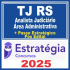 TJ RS (Analista Judiciário – Área Administrativa + Passo) Pós Edital – Estratégia 2025