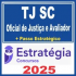TJ SC (Oficial de Justiça e Avaliador + Passo) Estratégia 2025
