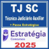 TJ SC (Técnico Judiciário Auxiliar + Passo) Estratégia 2025