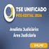 TSE UNIFICADO PÓS-EDITAL 2024: ANALISTA JUDICIÁRIO – ÁREA JUDICIÁRIA (CARGO 18) RICO DOMINGUES PÓS EDITAL